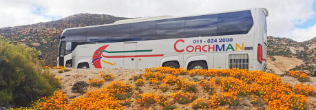 Coachman Bus Tours - Midrand