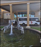 Tours & Safaris