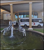 Tours and Safaris.