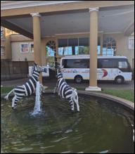 Tours and Safaris.